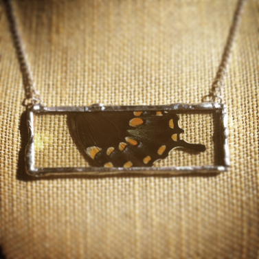 Butterfly wing encased in glass necklace
