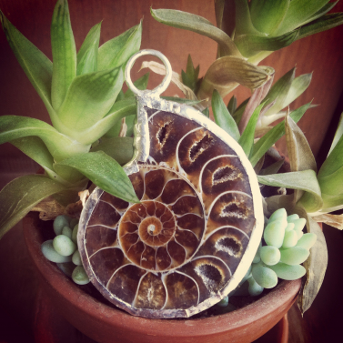 Ammonite pendant