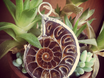 Ammonite pendant
