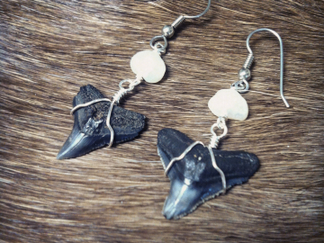 Shark teeth and freshwater pearl earrings